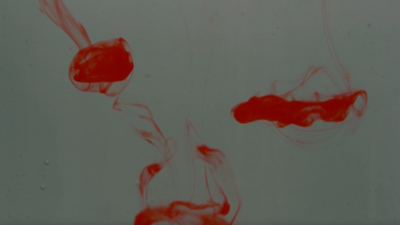 Red ink unfurling in water.